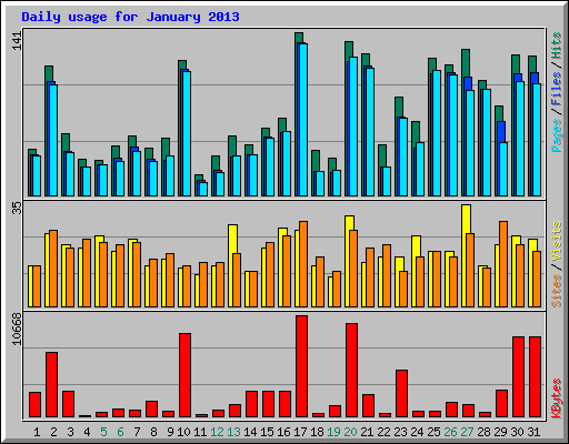 Daily usage for January 2013