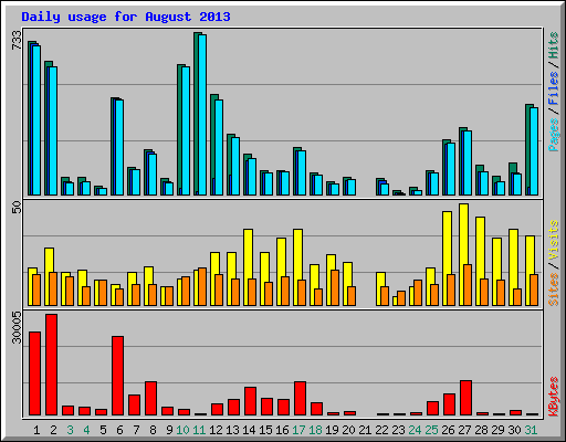 Daily usage for August 2013