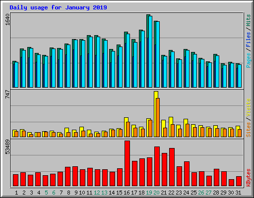 Daily usage for January 2019