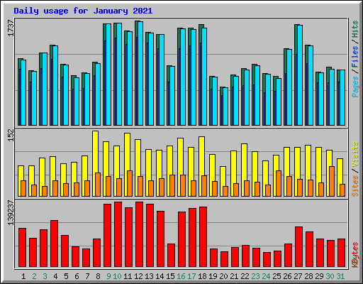 Daily usage for January 2021