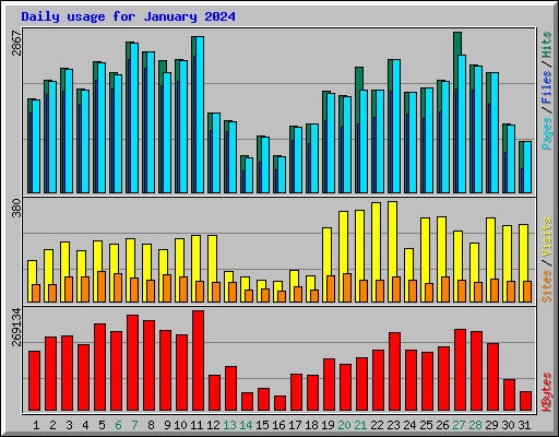 Daily usage for January 2024