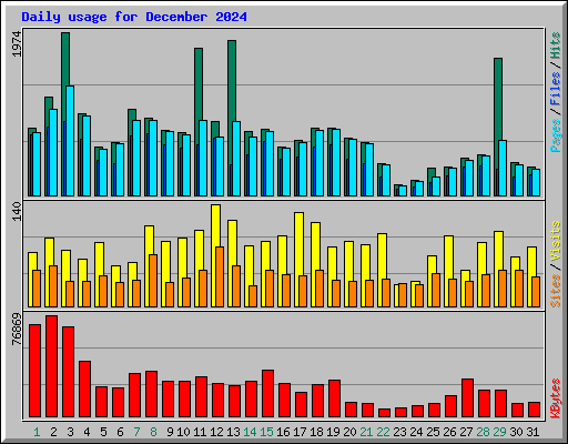 Daily usage for December 2024