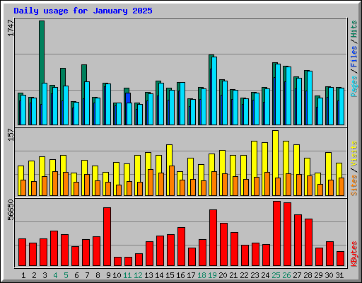 Daily usage for January 2025