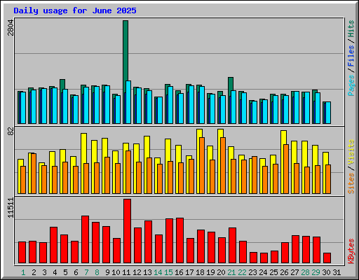 Daily usage for June 2025
