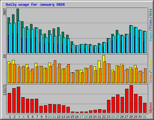 Daily usage for January 2026