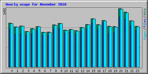 Hourly usage for November 2010