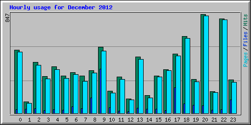 Hourly usage for December 2012