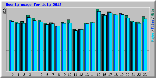 Hourly usage for July 2013