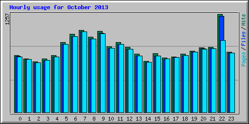 Hourly usage for October 2013