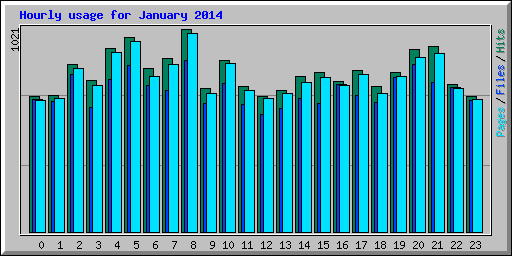 Hourly usage for January 2014