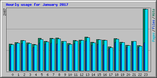 Hourly usage for January 2017
