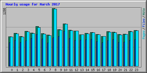 Hourly usage for March 2017