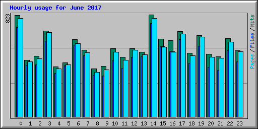Hourly usage for June 2017