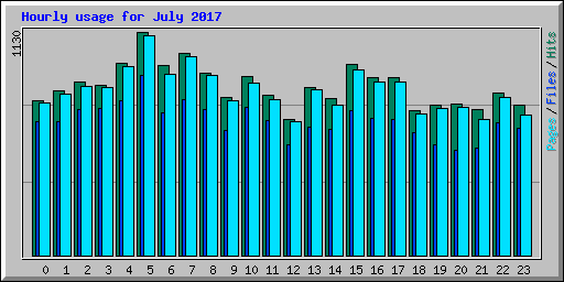 Hourly usage for July 2017
