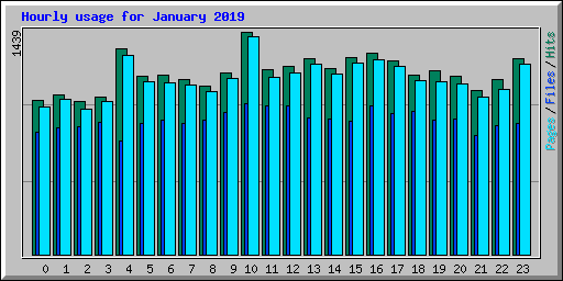 Hourly usage for January 2019