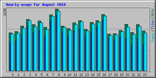 Hourly usage for August 2019