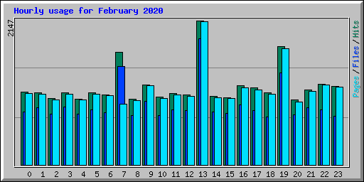 Hourly usage for February 2020