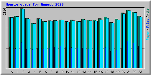 Hourly usage for August 2020