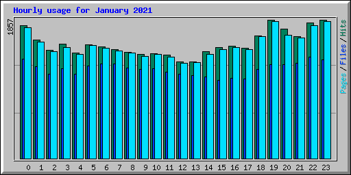 Hourly usage for January 2021