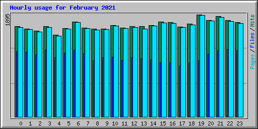 Hourly usage for February 2021