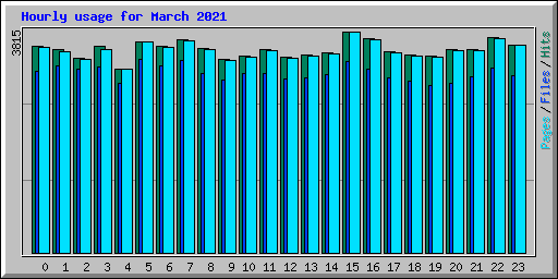 Hourly usage for March 2021
