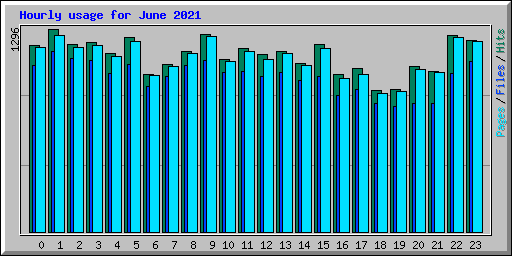 Hourly usage for June 2021