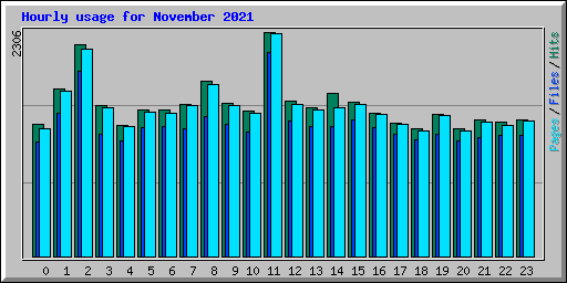 Hourly usage for November 2021