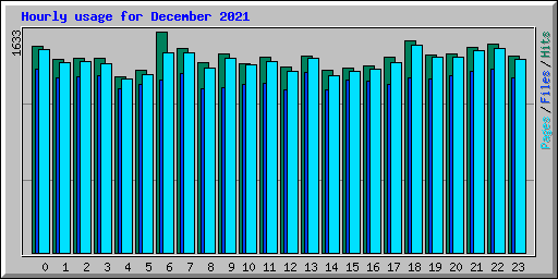 Hourly usage for December 2021