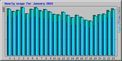 Hourly usage for January 2022