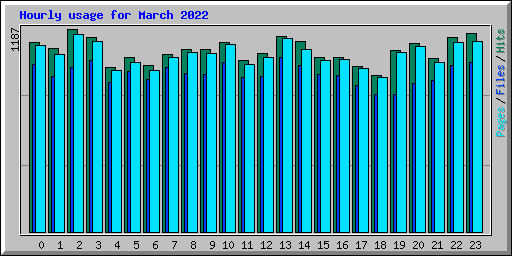 Hourly usage for March 2022