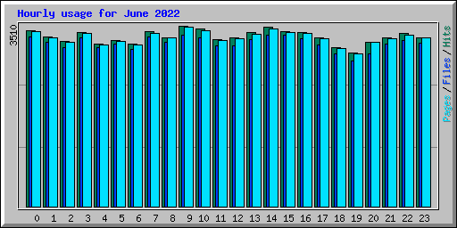 Hourly usage for June 2022