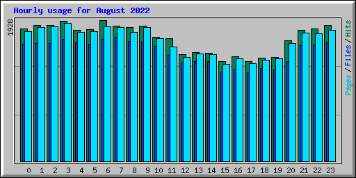 Hourly usage for August 2022