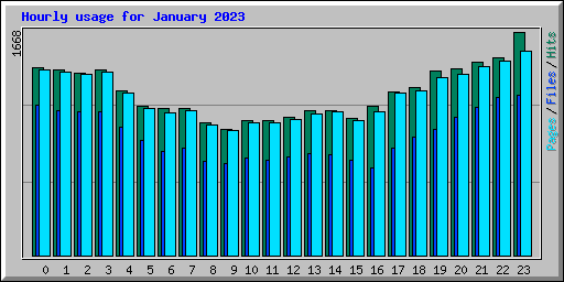 Hourly usage for January 2023