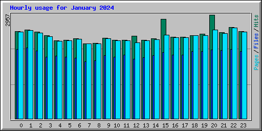 Hourly usage for January 2024