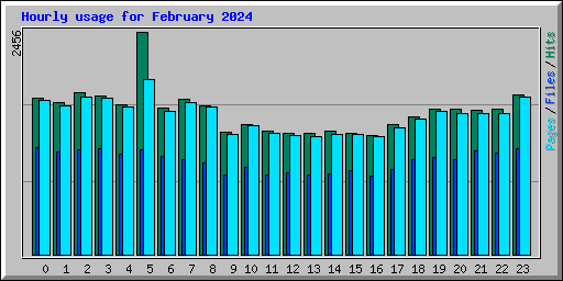 Hourly usage for February 2024
