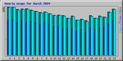 Hourly usage for March 2024
