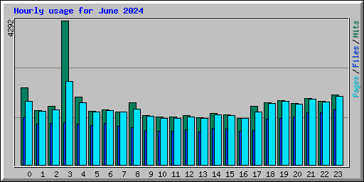 Hourly usage for June 2024