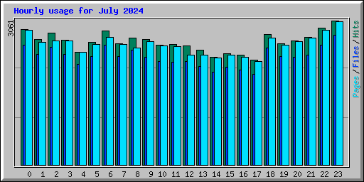 Hourly usage for July 2024