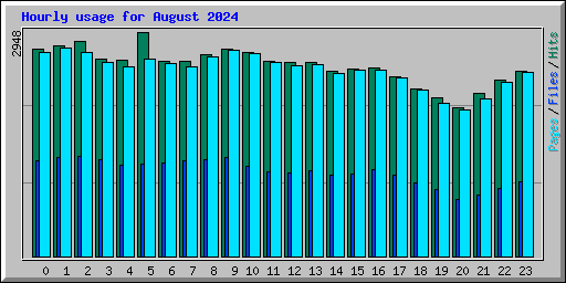 Hourly usage for August 2024