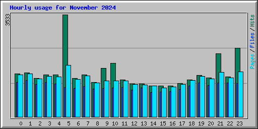 Hourly usage for November 2024