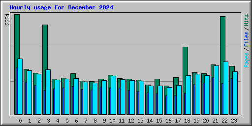 Hourly usage for December 2024