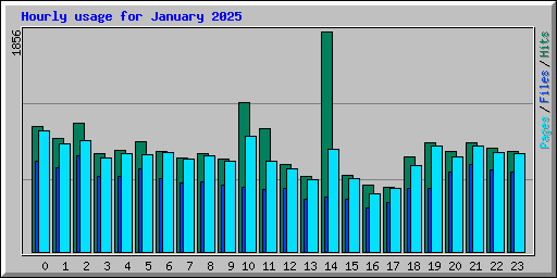Hourly usage for January 2025