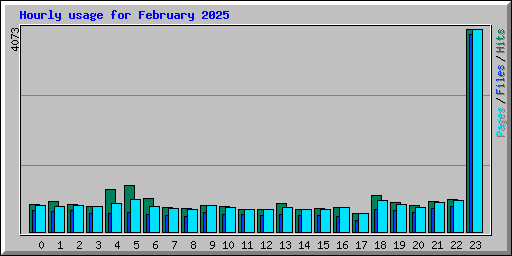Hourly usage for February 2025