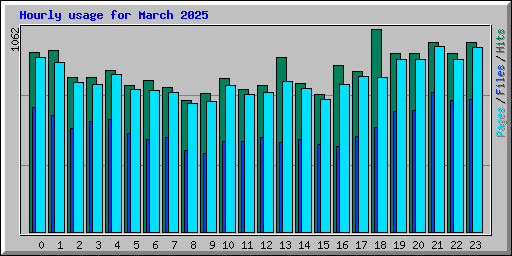 Hourly usage for March 2025