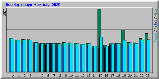 Hourly usage for May 2025
