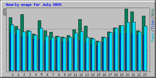 Hourly usage for July 2025