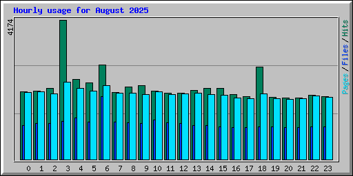 Hourly usage for August 2025
