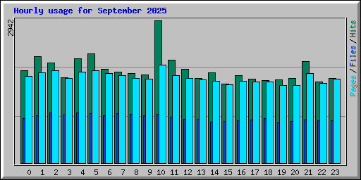 Hourly usage for September 2025