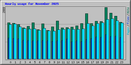 Hourly usage for November 2025
