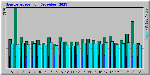 Hourly usage for December 2025